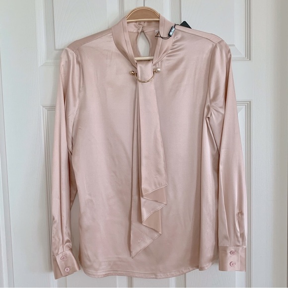 🌺 Lilysilk Pale Pink Silk Feminine Stand Collar Blouse Top w/ Pearl Clip Brooch - Picture 8 of 14